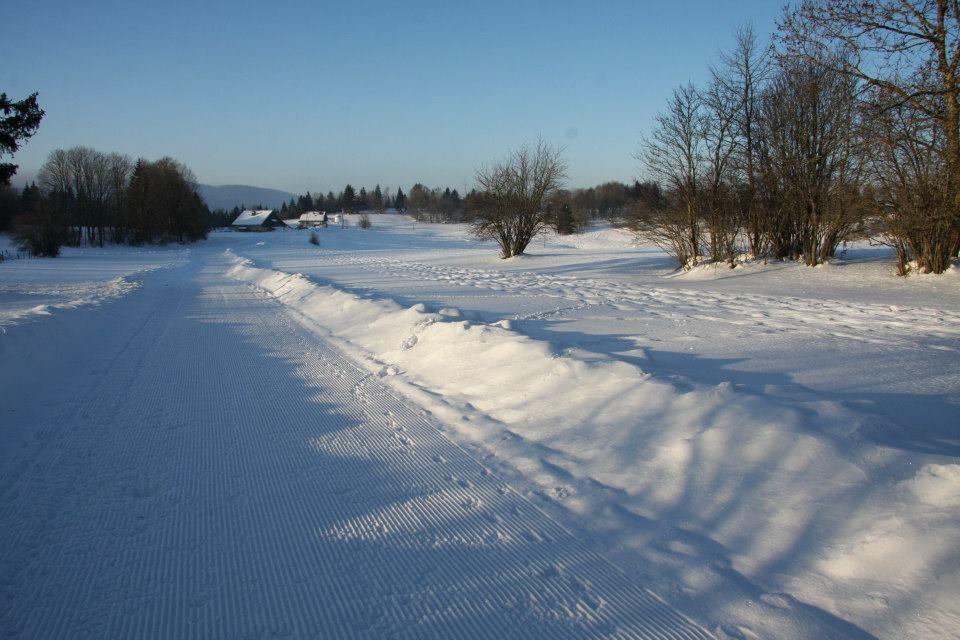 Auberge De La Perdrix Hauterive-la-Fresse Kültér fotó