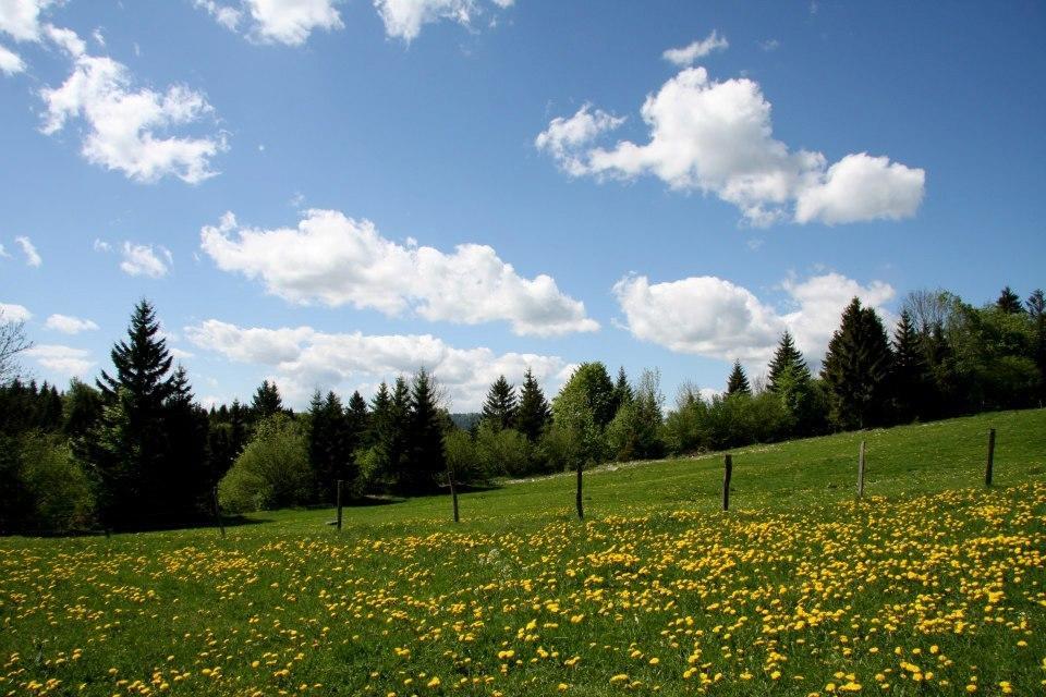 Auberge De La Perdrix Hauterive-la-Fresse Kültér fotó