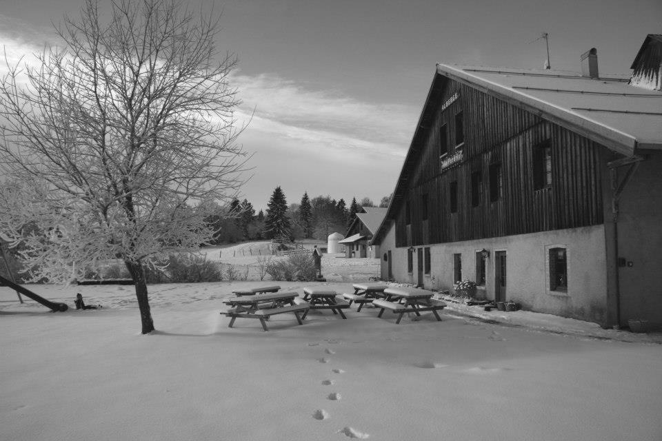 Auberge De La Perdrix Hauterive-la-Fresse Kültér fotó